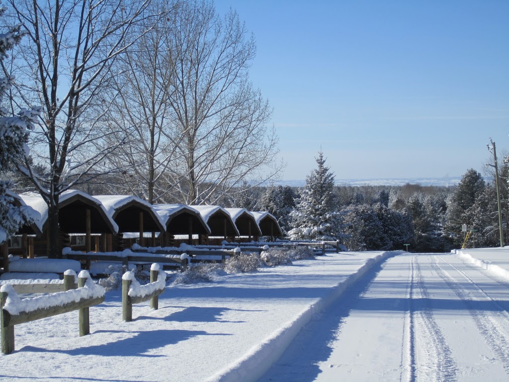 Barrie KOA Holiday | 3138 Penetanguishene Rd, Barrie, ON L9X 1Z7, Canada | Phone: (705) 726-6128