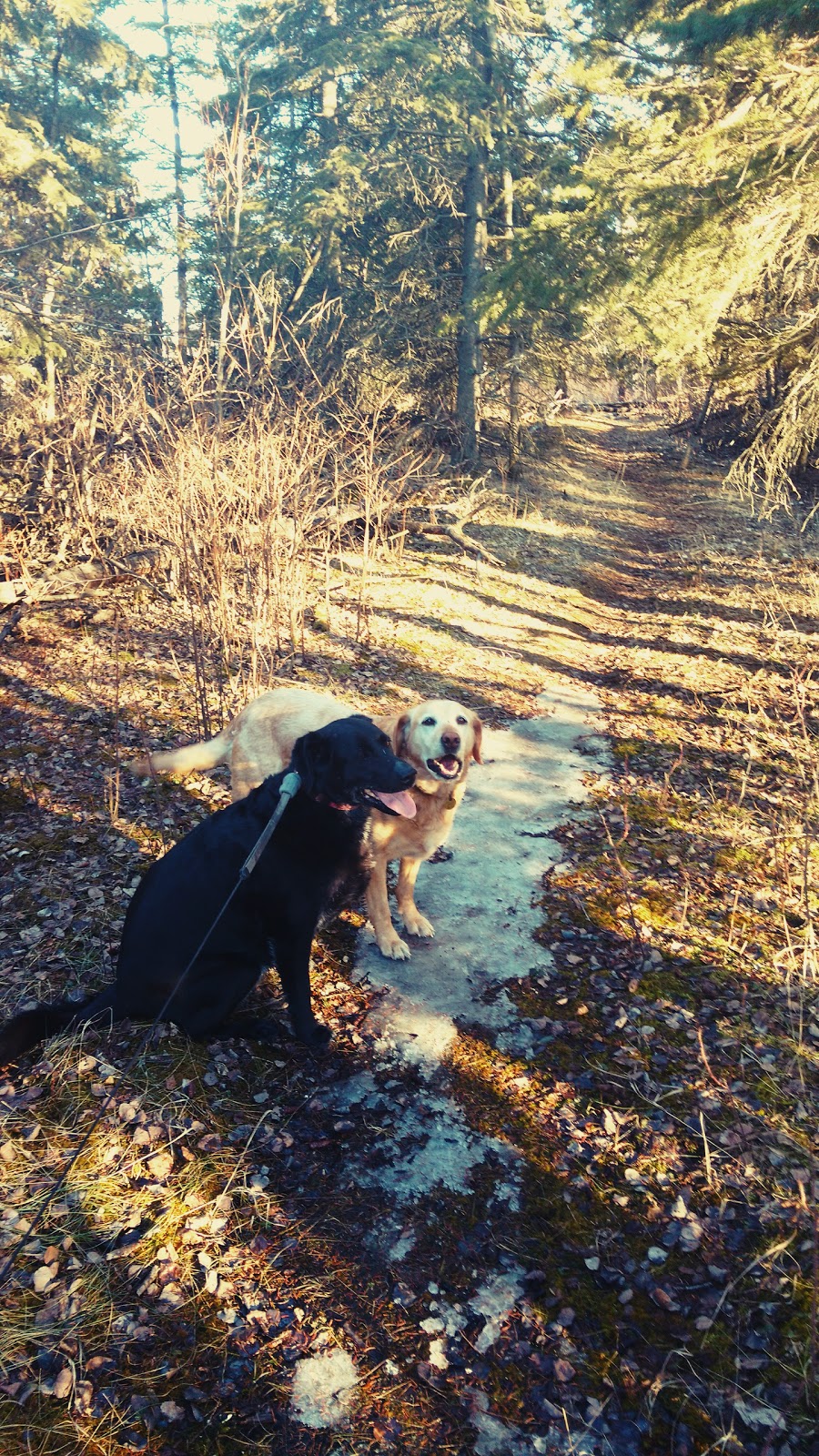 North Cooking Lake Natural Area | Strathcona County, AB T8G, Canada | Phone: (780) 427-3582