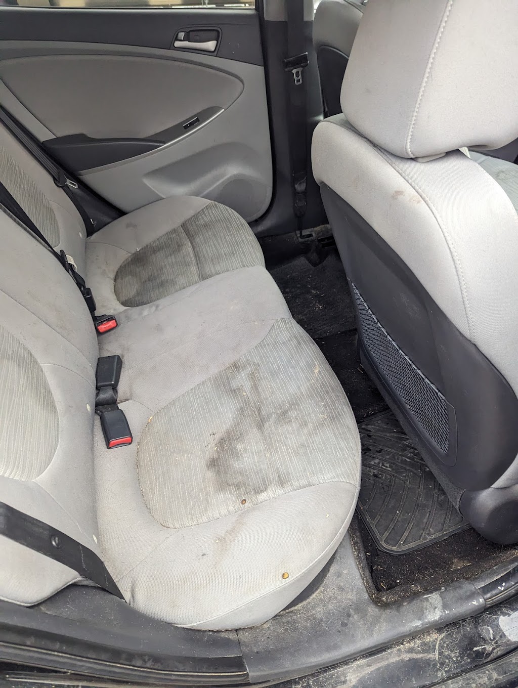 Koehlers Mobile Detailing | 46111 Reece Ave, Chilliwack, BC V2P 3A6, Canada | Phone: (604) 991-7497
