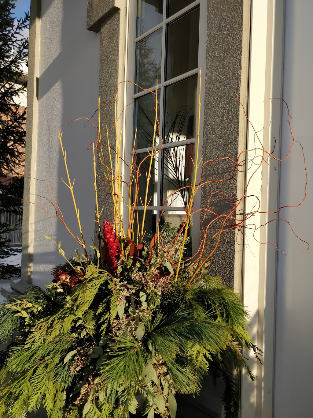 Pilates in Guelph South | 17 Goodwin Dr, Guelph, ON N1L 1P7, Canada | Phone: (519) 827-1588