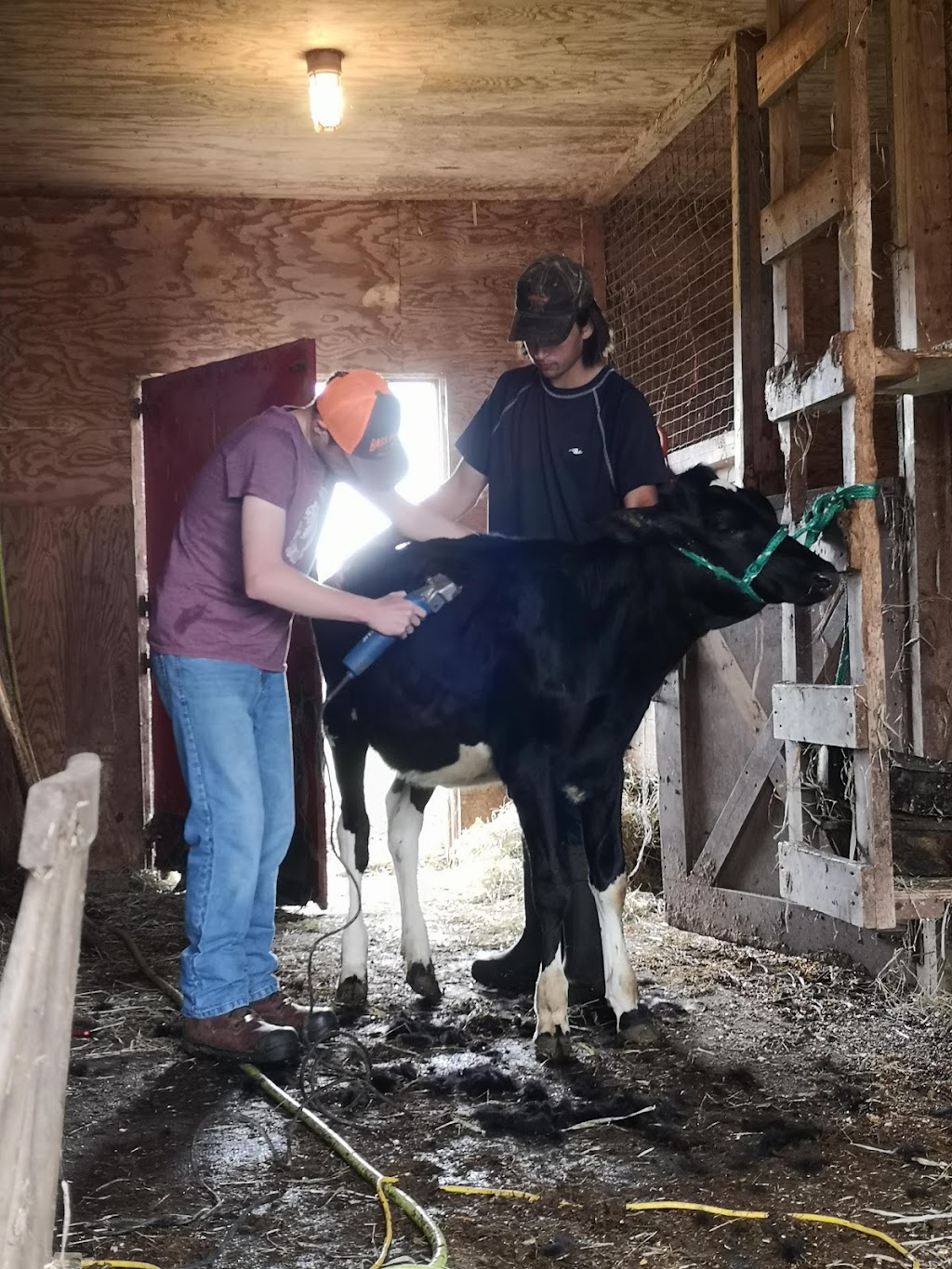 Hilden Farms Ltd | 105 Morgan Rd, Brookfield, NS B0N 1C0, Canada | Phone: (902) 986-7998