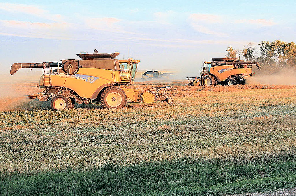 Delage Farms Ltd. | Indian Head, SK S0G 2K0, Canada | Phone: (306) 695-3959