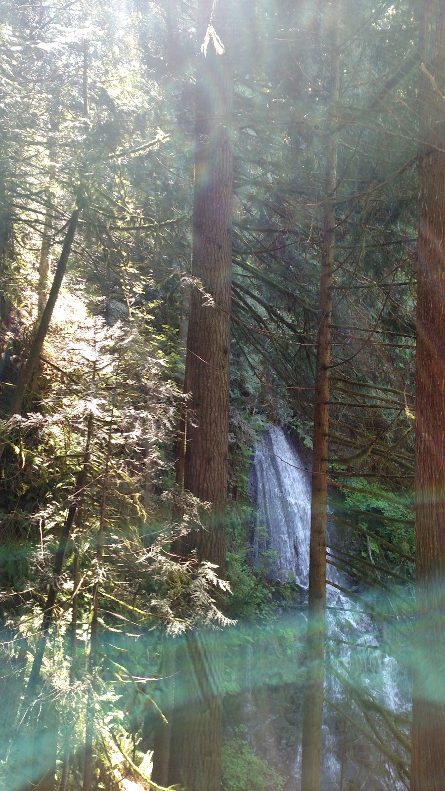 Lookout Mountain Preserve | Bellingham, WA 98229, USA