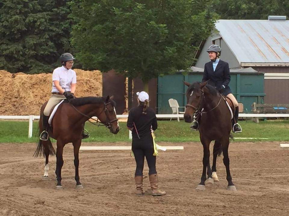 Graestone Equestrian | 5657 Wellington Rd 7, Guelph, ON N1H 6J2, Canada | Phone: (289) 355-0942
