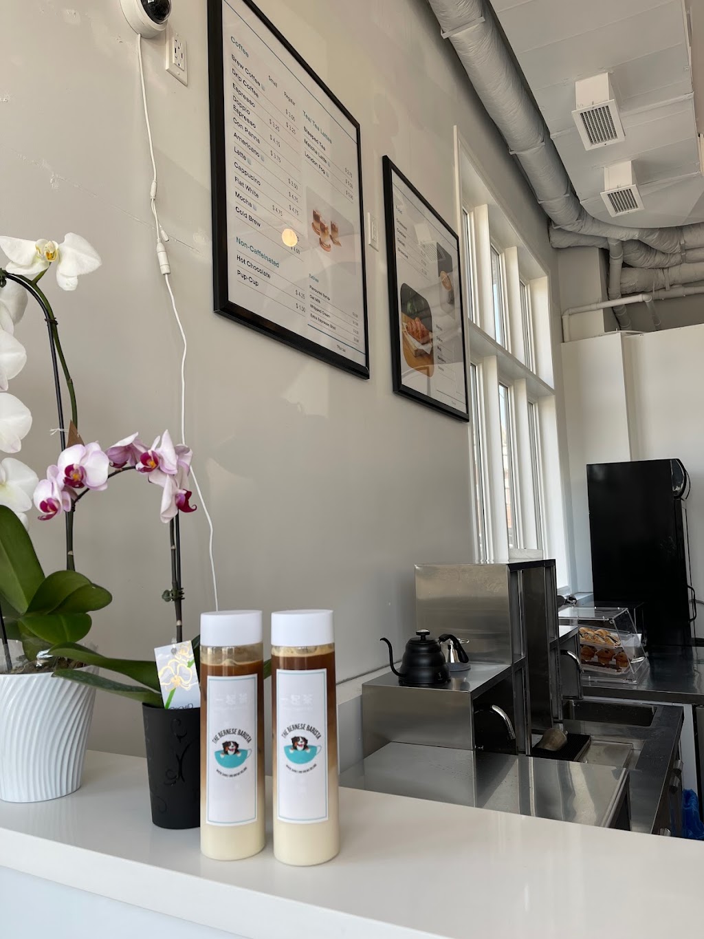 The Bernese Barista | 6 Nipigon Ave, Markham, ON L6C 1N7, Canada | Phone: (905) 927-9555