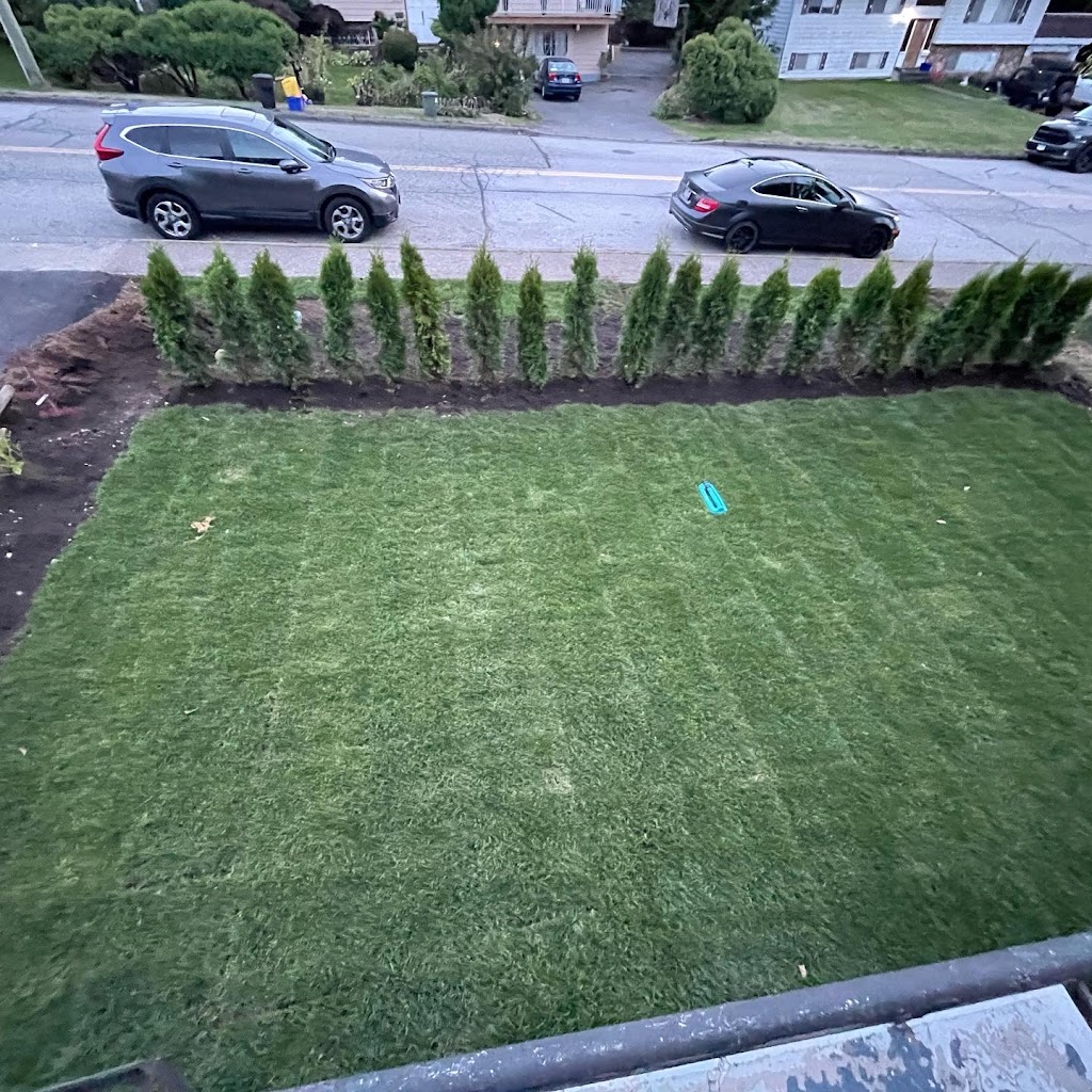 Kash Landscaping | Capilano Rd, North Vancouver, BC V7R 4J1, Canada | Phone: (604) 719-1371