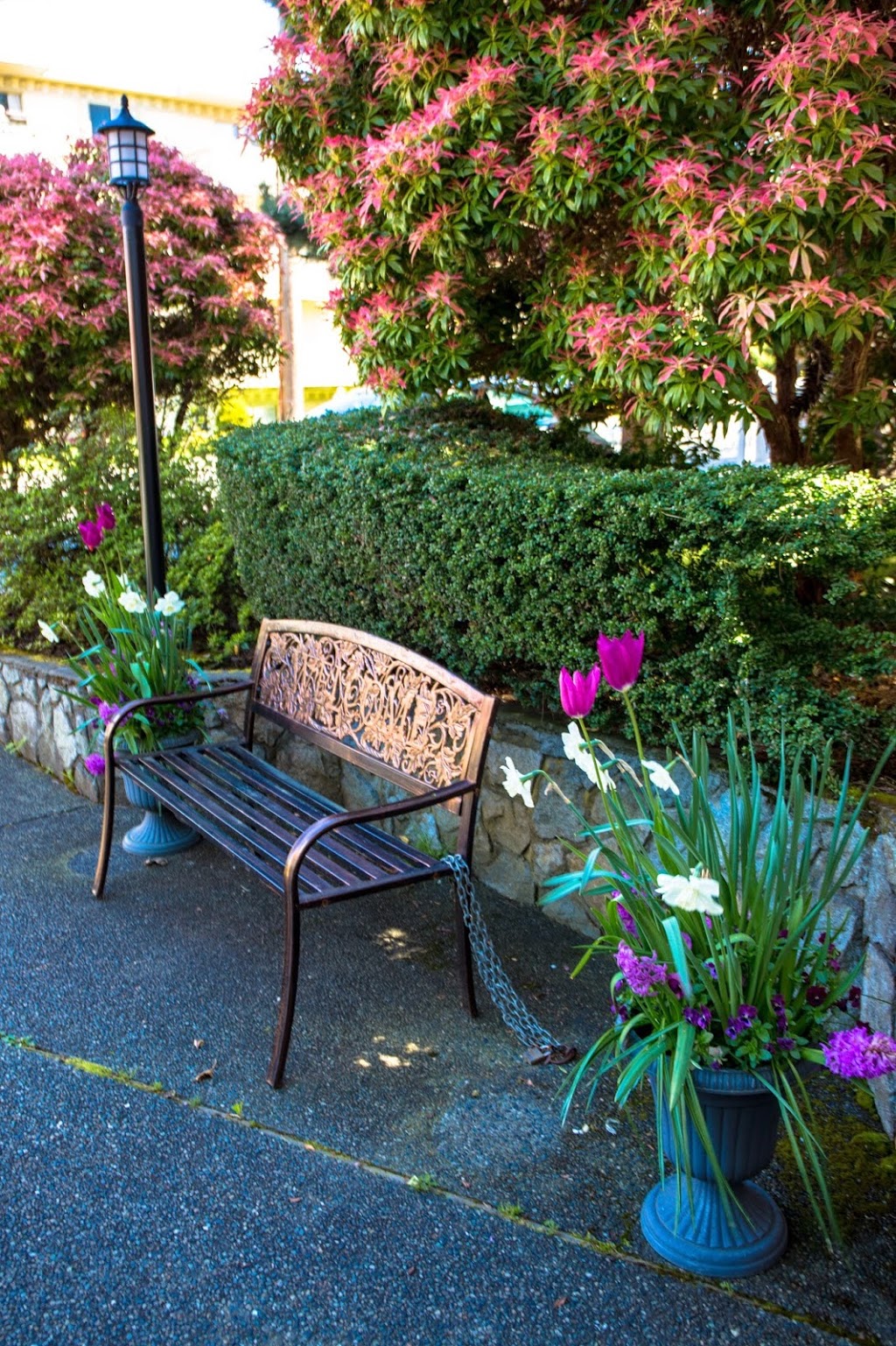 Douglas Care | 657 Niagara St, Victoria, BC V8V 1J1, Canada | Phone: (250) 383-9011