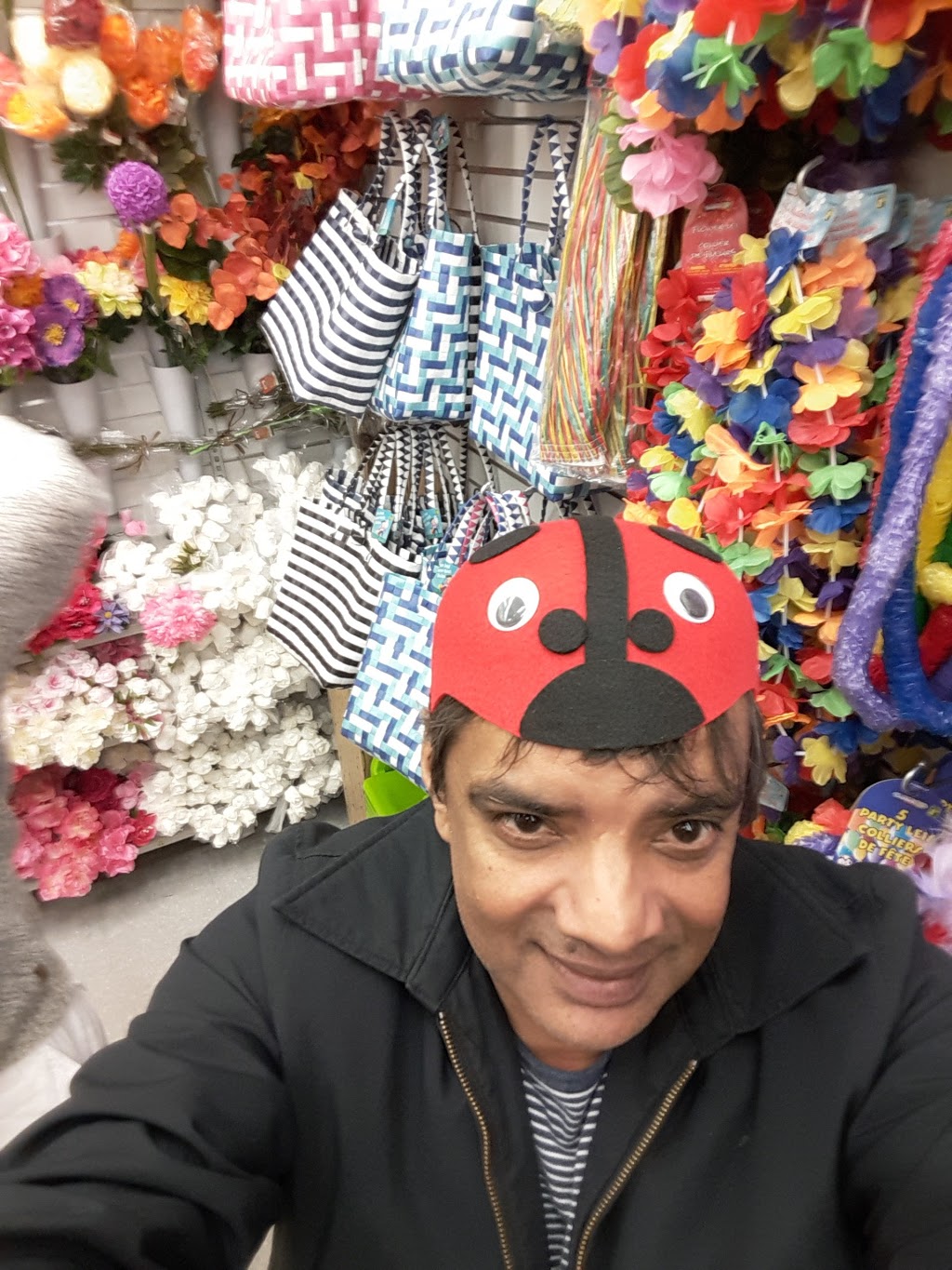 Dollarama | Kingslake Plaza, 1201 Division St, Kingston, ON K7K 6X4, Canada | Phone: (613) 544-1714