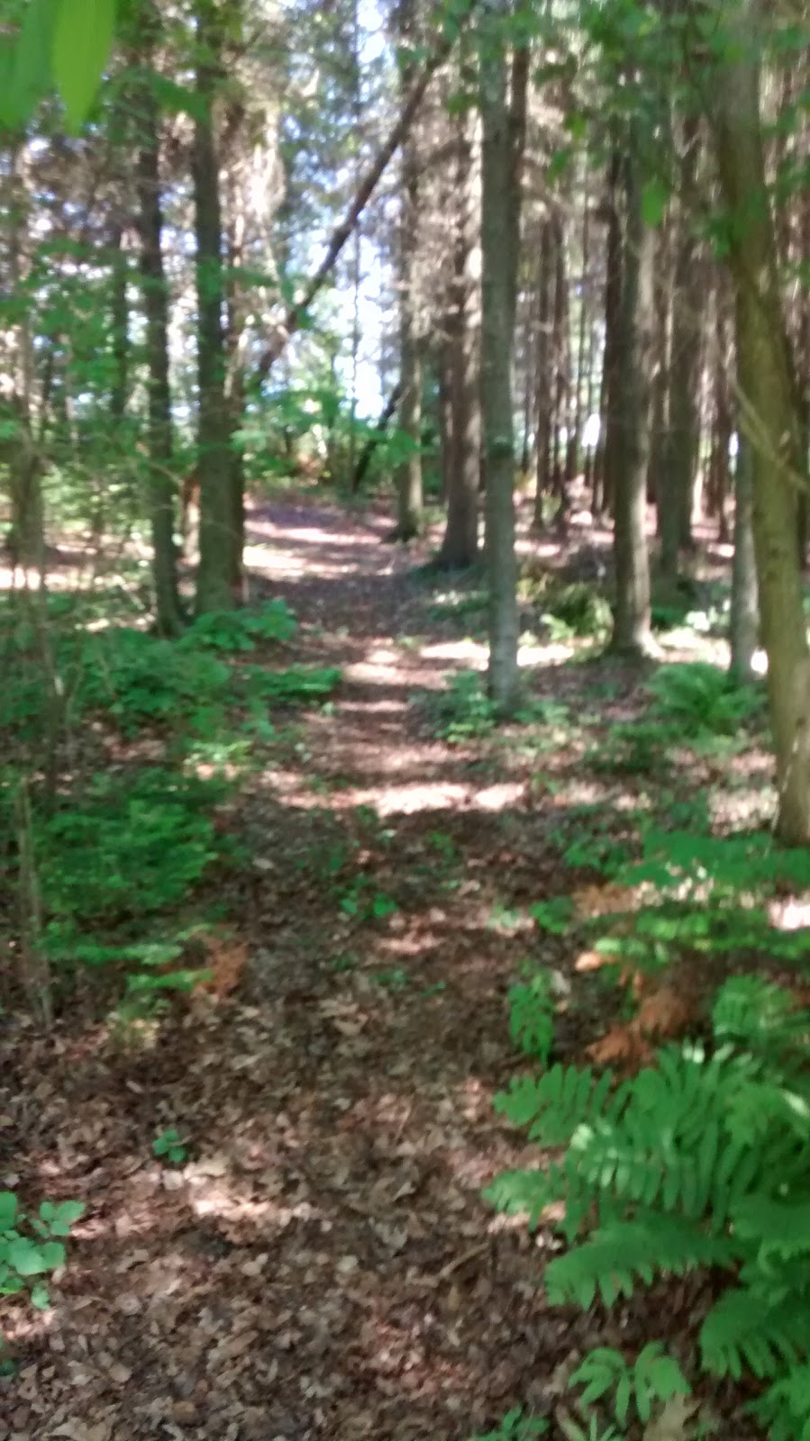Parc de lObservatoire | 478 Avenue de lObservatoire, Sainte-Marie, QC G6E 3E4, Canada