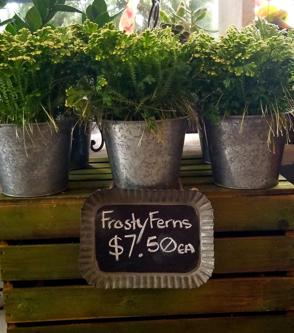 Bloom Field Floral and Garden Centre | 3745 Durham Regional Hwy 2, Newcastle, ON L1B 0R2, Canada | Phone: (905) 987-5664