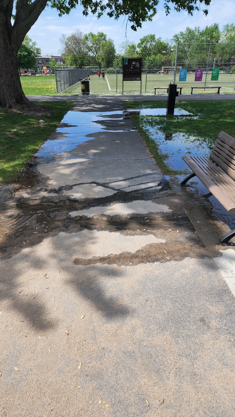 Parc Saint-Donat play fountains | Unnamed Road, 6750 Rue de Marseille, Montréal, QC H1N 1M5, Canada | Phone: (514) 872-0311