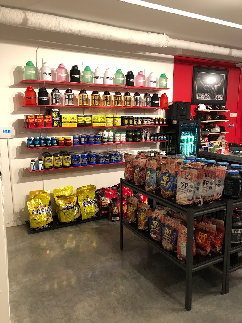 Gym Rat Supplements & Apparel Kelowna | 555 Montgomery Rd #105, Kelowna, BC V1X 3C6, Canada | Phone: (250) 765-1679
