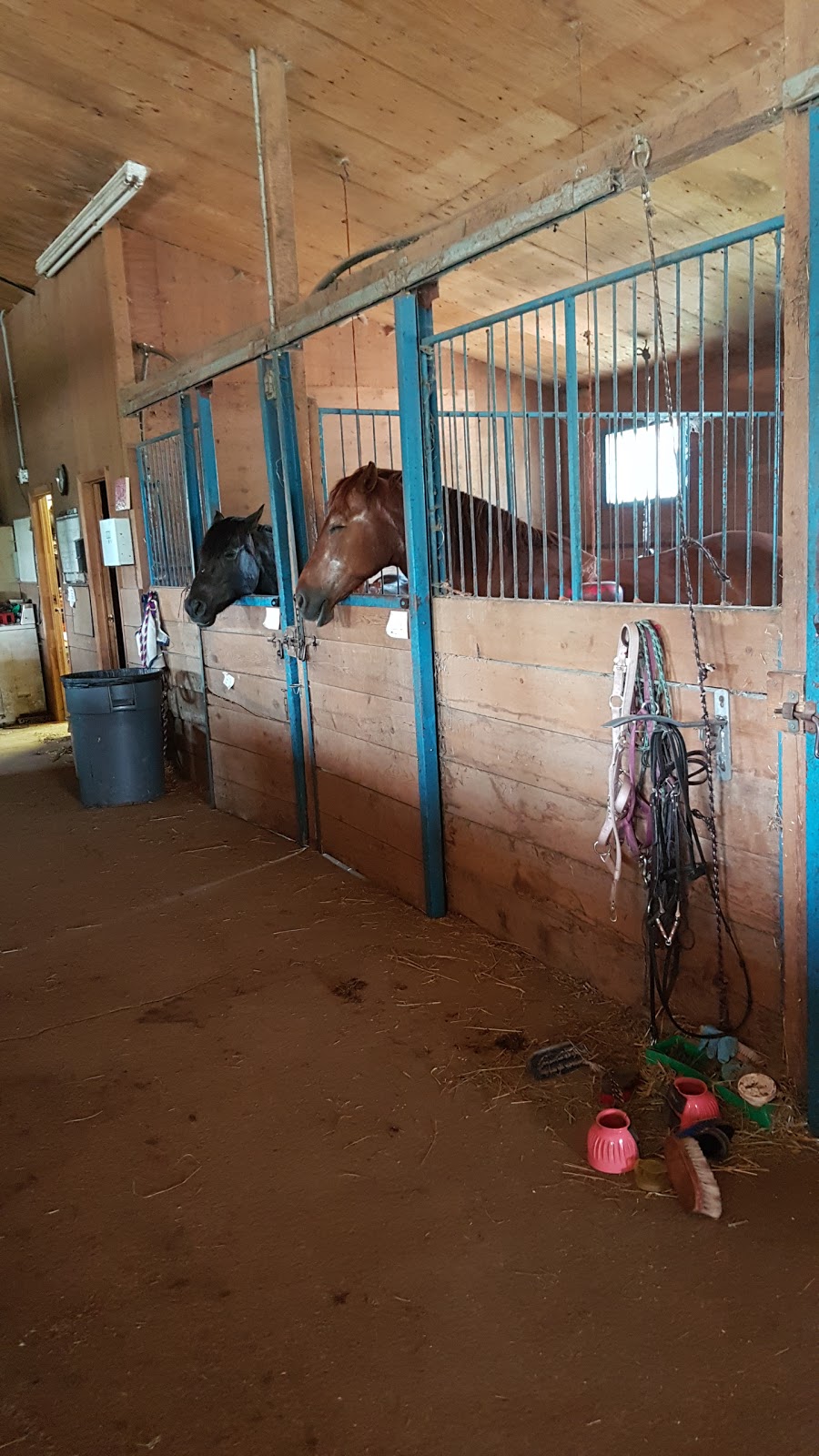 Applehill Stables | 6115 Prince of Wales Dr, North Gower, ON K0A 2T0, Canada | Phone: (613) 489-2446