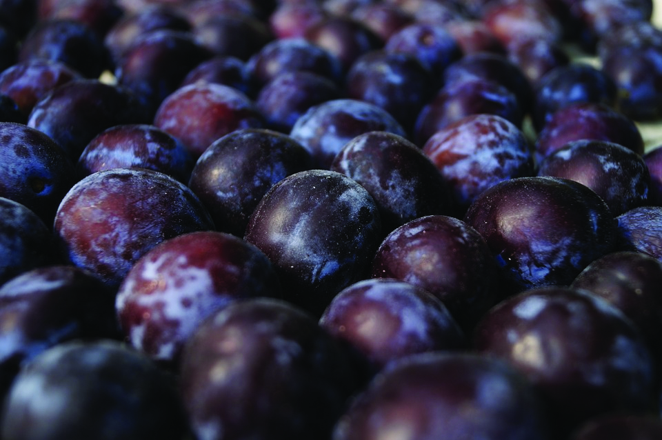 Whiffletree Farm and Nursery | 6987 8 Line W, Elora, ON N0B 1S0, Canada | Phone: (519) 669-1349