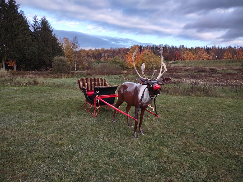 Plantation des Noëls dantan | 70 Rte du Barrage, Saint-Raphaël, QC G0R 4C0, Canada | Phone: (418) 955-9466