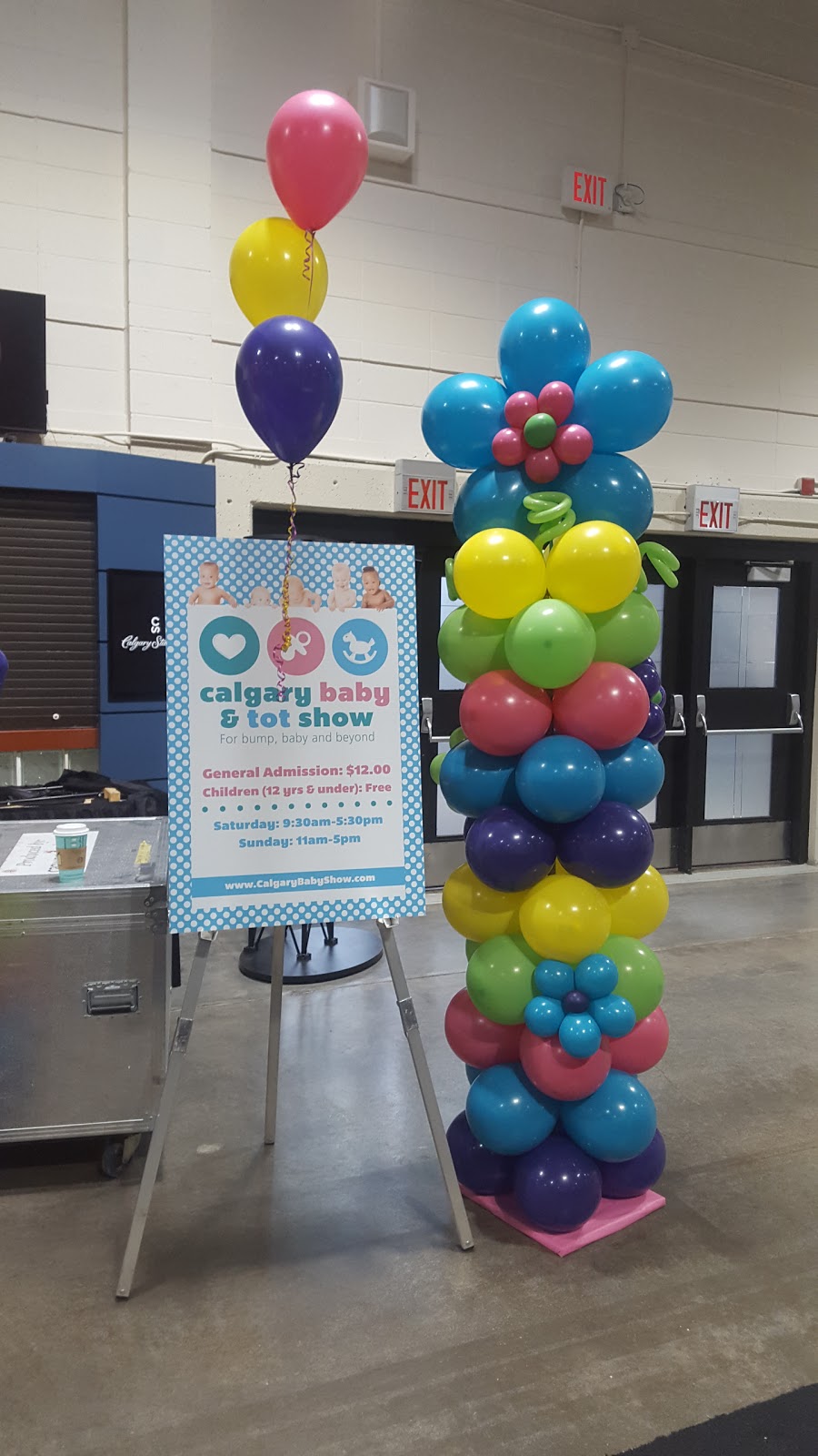 balloonie.ca | 323 Copperfield Grove SE, Calgary, AB T2Z 4L8, Canada | Phone: (403) 796-8849