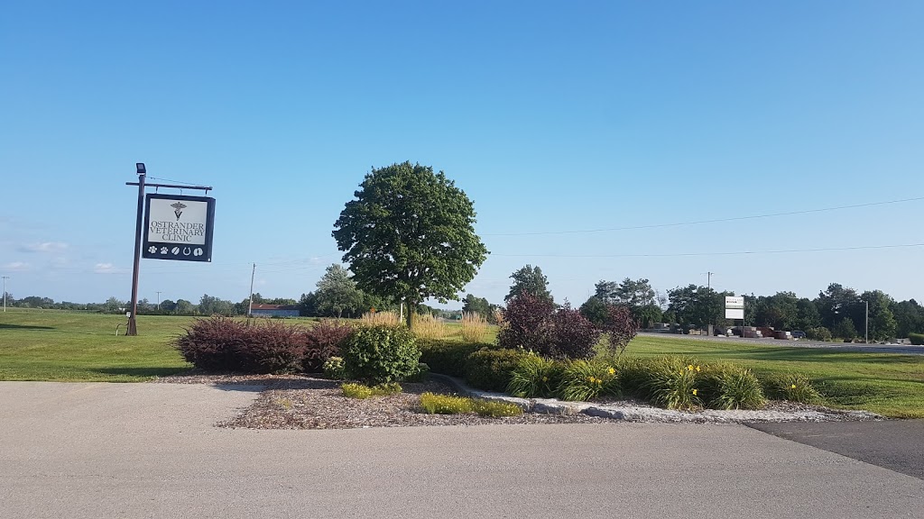 Ostrander Veterinary Clinic | 332810 Plank Line, Mount Elgin, ON N0J 1N0, Canada | Phone: (519) 842-7845