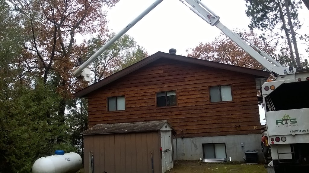 Rays Tree Service | 84 Concession 5 East, Tiny, ON L0L 2T0, Canada | Phone: (705) 322-1556