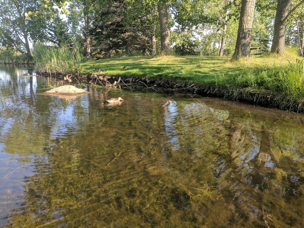 Bower Ponds Recreation | 4715 Fountain Dr, Red Deer, AB T4N 6W4, Canada | Phone: (403) 318-6298