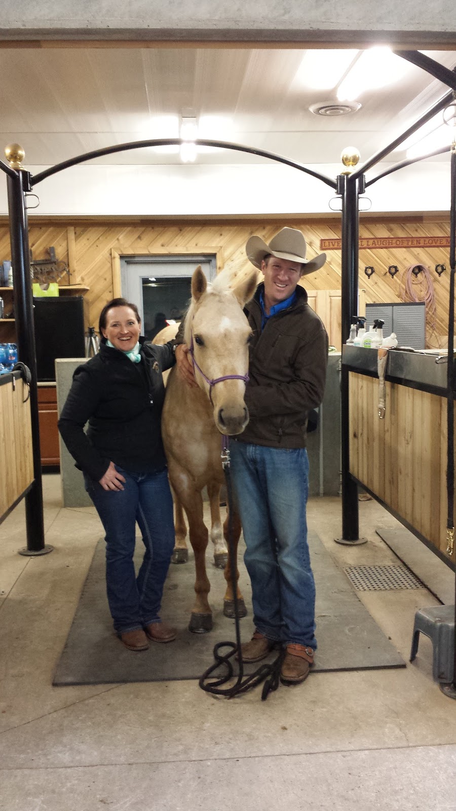 Horse In Hand Ranch Ltd. | Blackfalds, AB T0M 0J0, Canada | Phone: (403) 550-3440