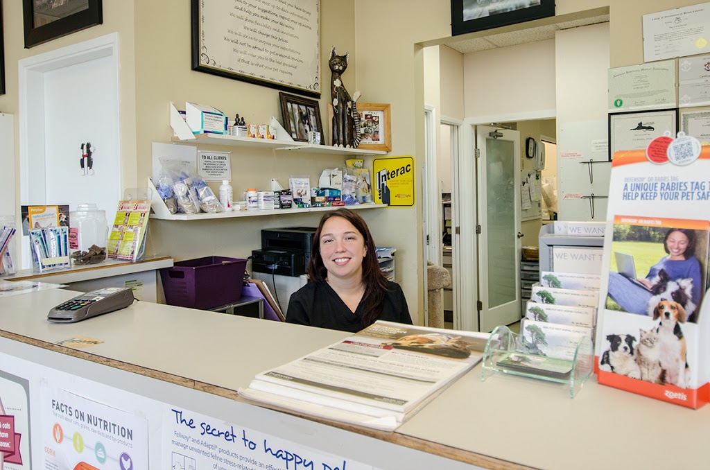 Arbutus West Animal Clinic | 2809 W 16th Ave, Vancouver, BC V6K 3C5, Canada | Phone: (604) 736-6701