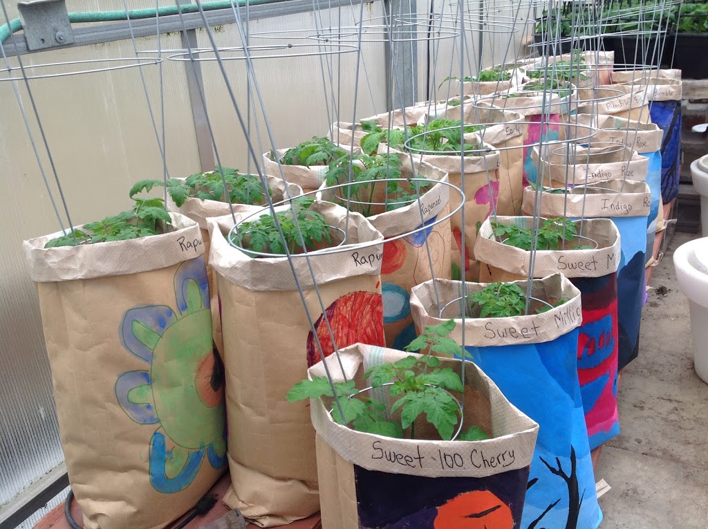 Country Road Greenhouses | 52043 Range Rd 231, Sherwood Park, AB T8B 1A2, Canada | Phone: (780) 467-5784