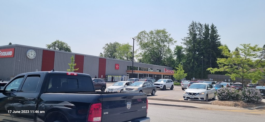Tim Hortons | 445 Berford St, Wiarton, ON N0H 2T0, Canada | Phone: (888) 888-8888