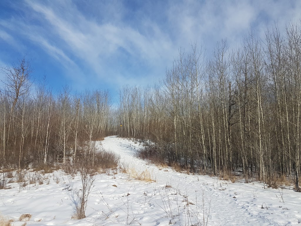 Shirley Lake Trailhead # 3 | Improvement District No. 13, AB T8G 2A6, Canada | Phone: (780) 922-5790