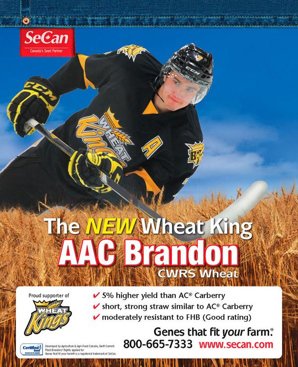 Blumer Seeds | HWY 44, SK-42, Dinsmore, SK S0L 0T0, Canada | Phone: (306) 460-7744
