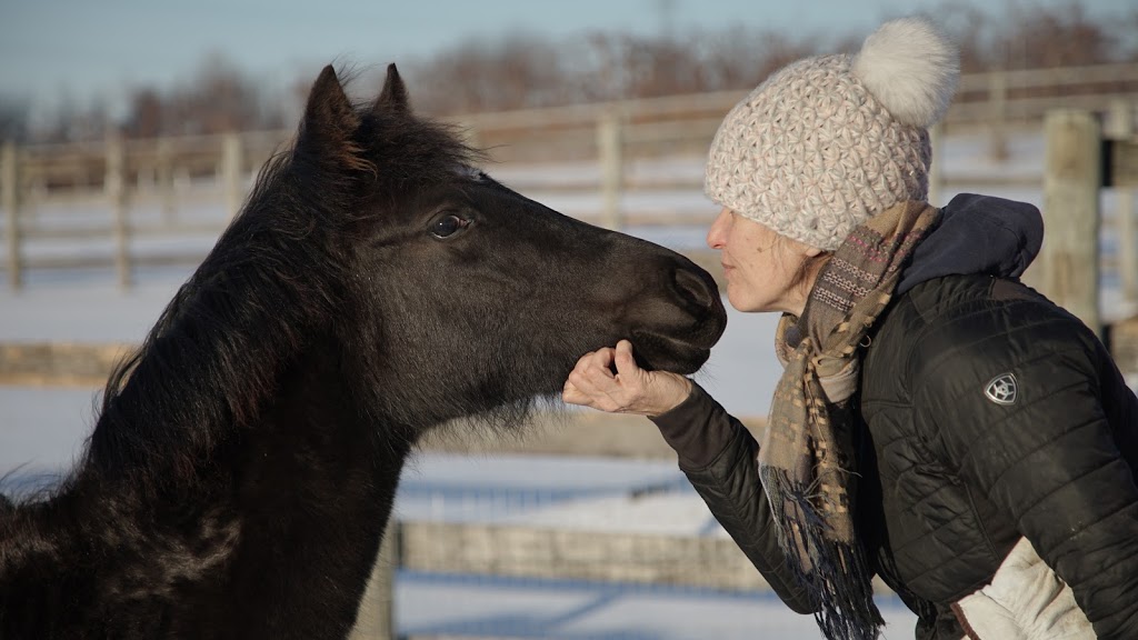 Stable Wellness Farm and Yoga Studio | Wilsonville, ON N0E 1Z0, Canada | Phone: (519) 757-2337