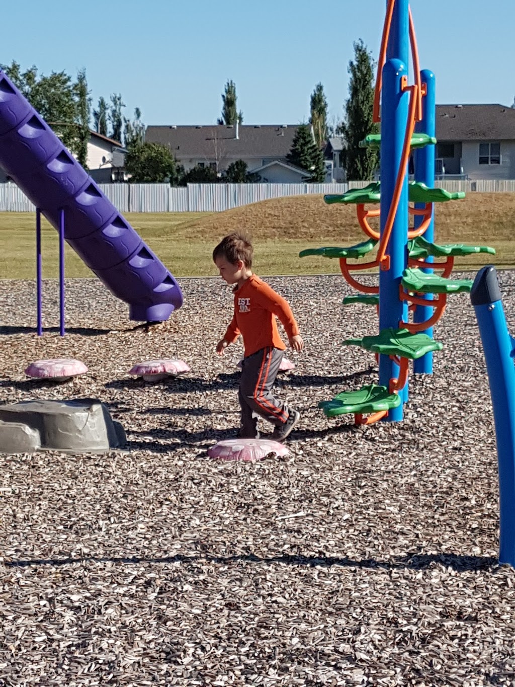 Blackfalds Community Centre | 4810 Womacks Rd, Blackfalds, AB T0M 0J0, Canada | Phone: (403) 885-4039