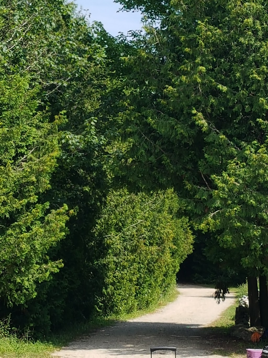 Camp McGovern | 1 Canada, River Rd, Elmwood, ON N0G 1S0, Canada | Phone: (519) 369-6704