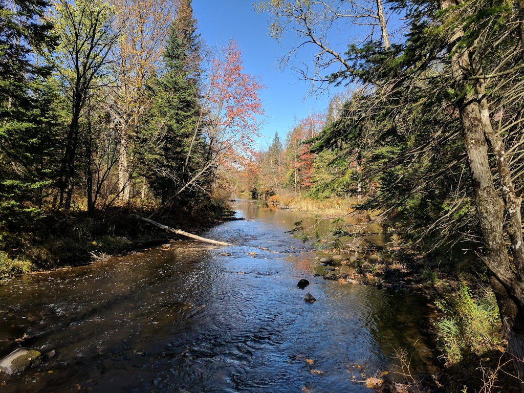 Parc régional des Grandes-Coulées | 2 Route du Plé, Plessisville, QC G0S 1T0, Canada | Phone: (819) 621-1333