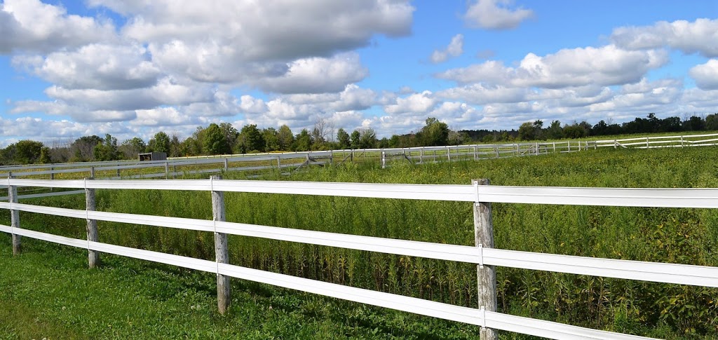 The Stable Grounds - Therapy for PTSD | 22678 Johnston Line, Rodney, ON N0L 2C0, Canada | Phone: (905) 717-5921
