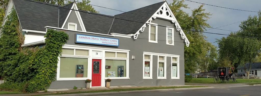 Good Vibrations Neurofeedback | 79 King St, Thedford, ON N0M 2N0, Canada | Phone: (519) 639-8453