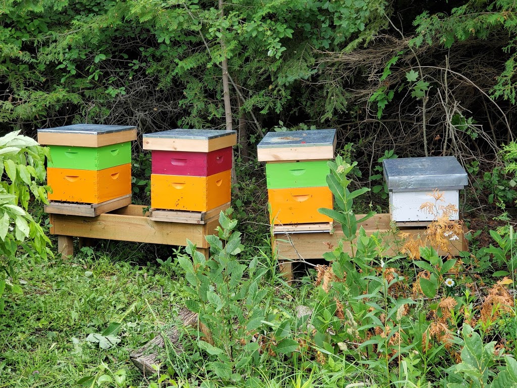 SweetWater Maple and Honey Products | 398665 5 Line, Honeywood, ON L0N 1H0, Canada | Phone: (705) 434-8052