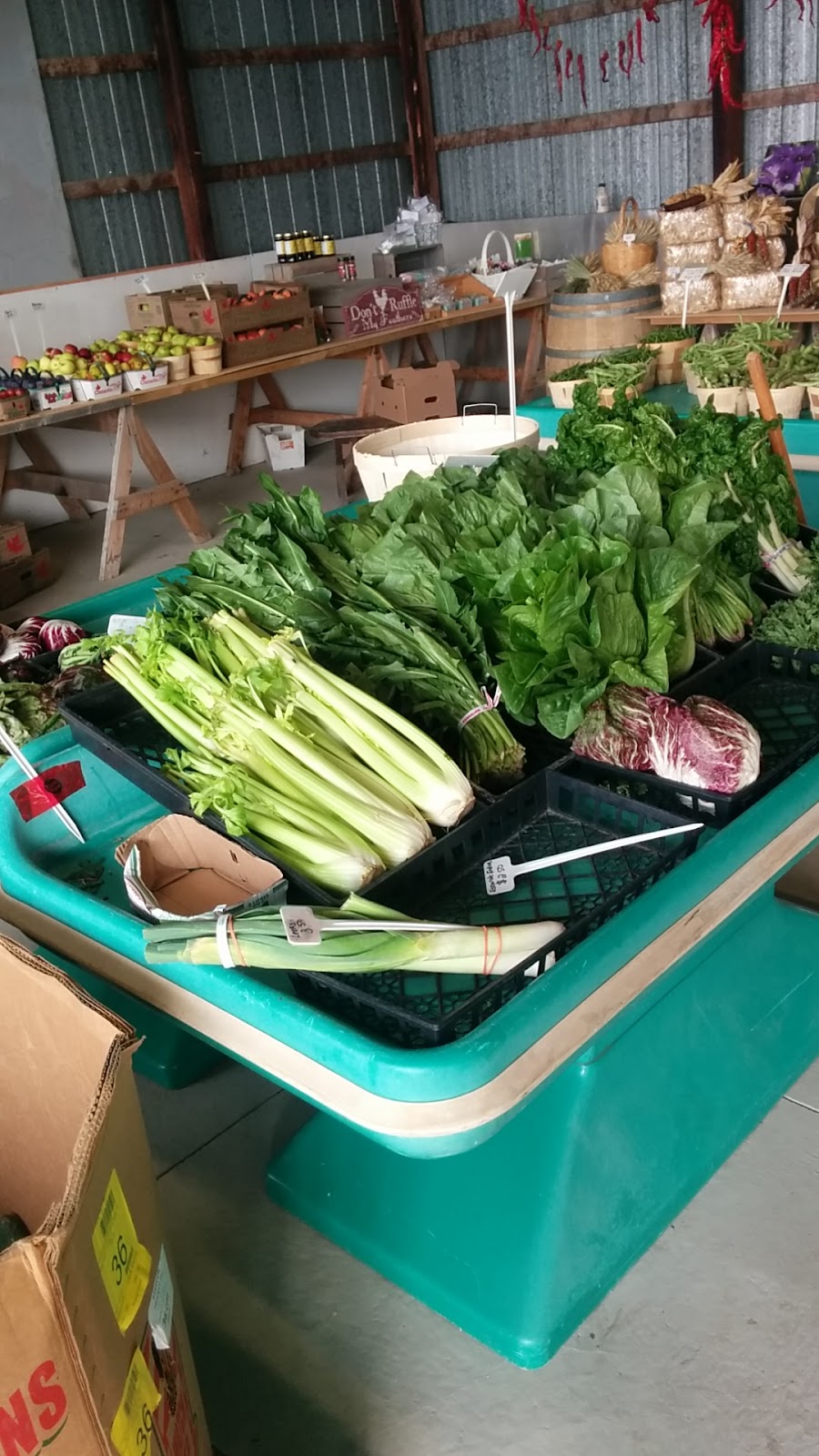 Campagna farm Inc | 12110 Jane St, Maple, ON L6A 1S1, Canada | Phone: (416) 990-6818
