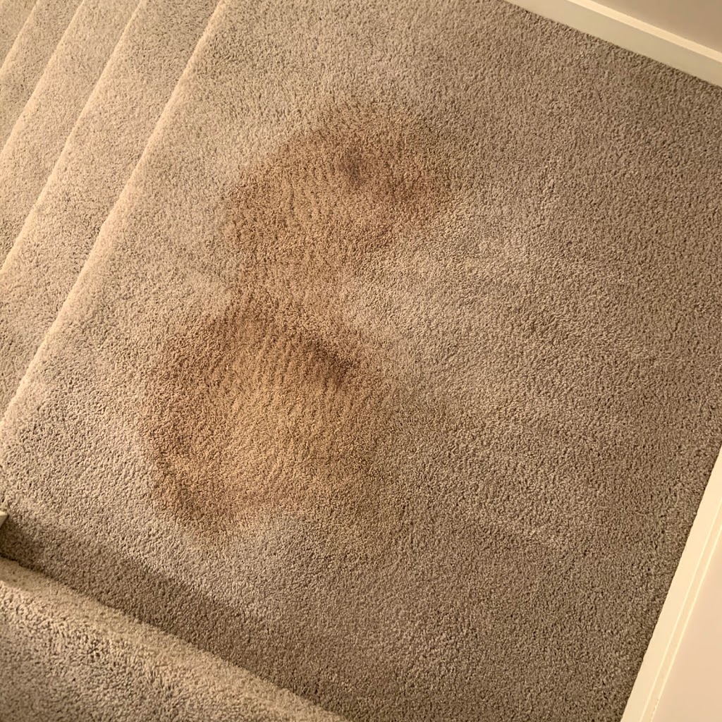 Aboveallcarpetandupholsterycleaning.com | 11 Paradise Acre, Chestermere, AB T1X 0M9, Canada | Phone: (403) 618-8123