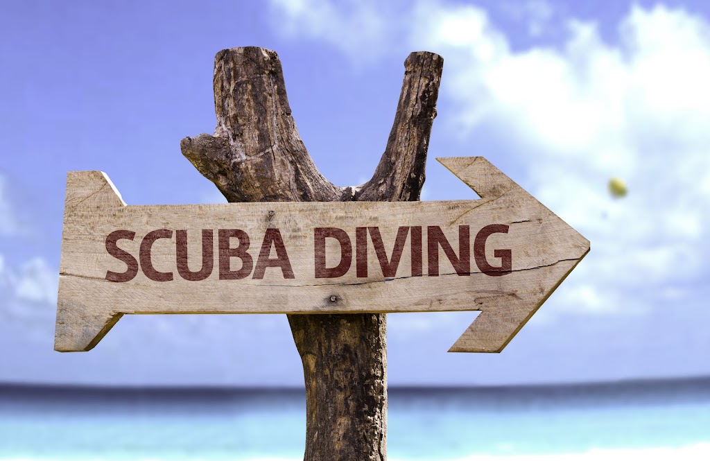 Scuba Dive Marketing | 724 Greenwood Rd, Kingston, NS B0P 1R0, Canada | Phone: (902) 349-5760