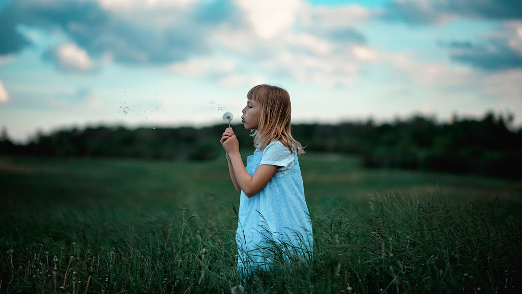 Evianstudios | 26 Marks Rd, Springwater, ON L9X 0S6, Canada | Phone: (647) 787-8782