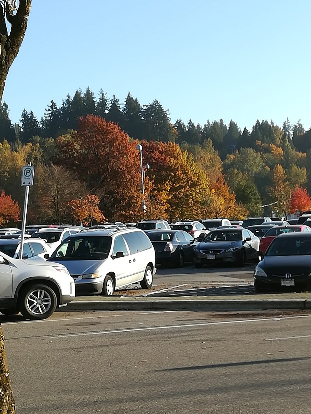 Impark | 12515 110 Ave, Surrey, BC V3V 3J8, Canada | Phone: (604) 331-7288