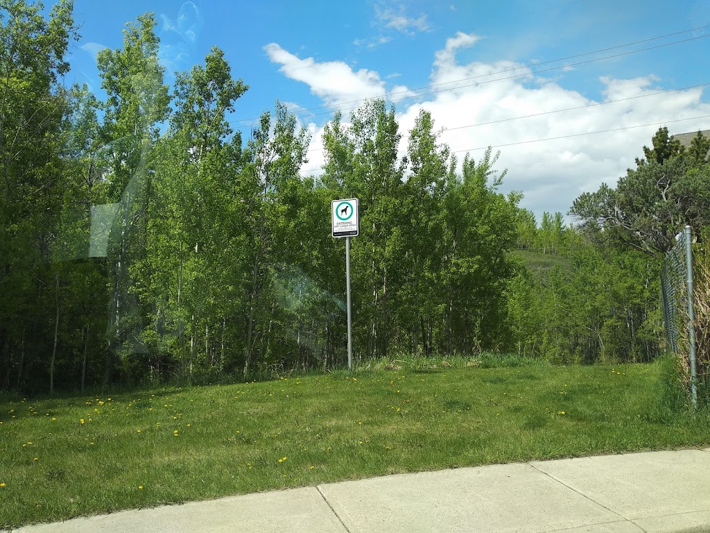 Edgemont Area 1 Off Leash Dog Park | 91 Edgeview Rd NW, Calgary, AB T3A 4T7, Canada