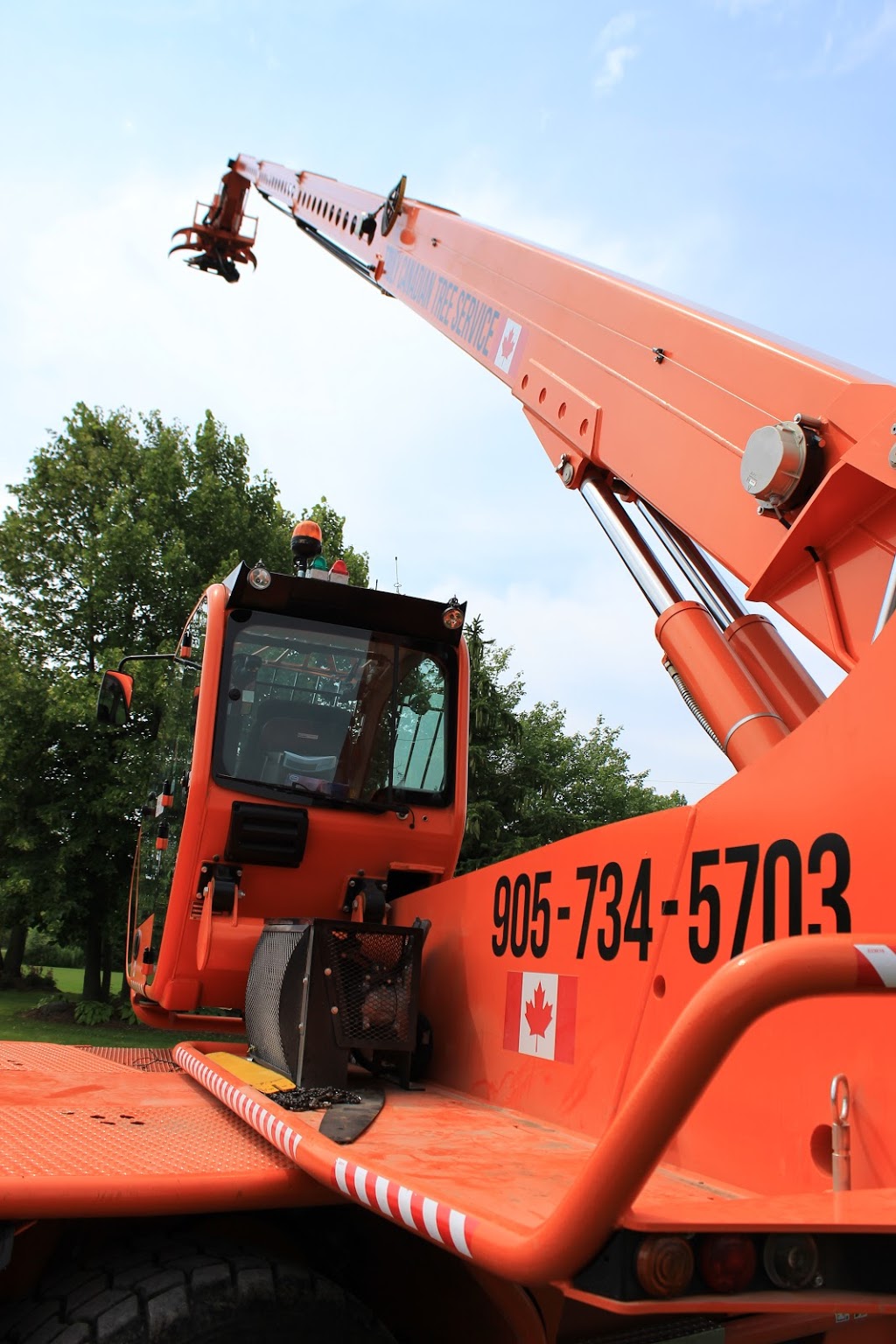 Truly Canadian Tree Service | 12274 Brawn Rd, Wainfleet, ON L0S 1V0, Canada | Phone: (905) 734-5703