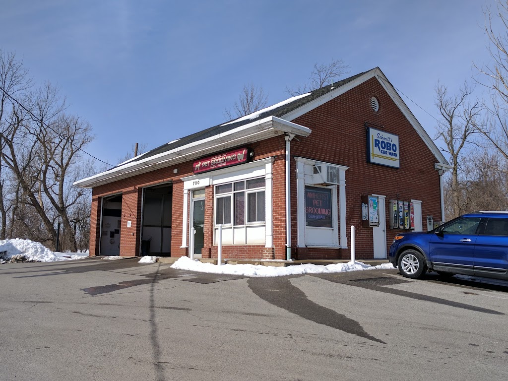 Robo Self-Serve | 727 Maple Rd, Buffalo, NY 14221, USA | Phone: (716) 632-2789
