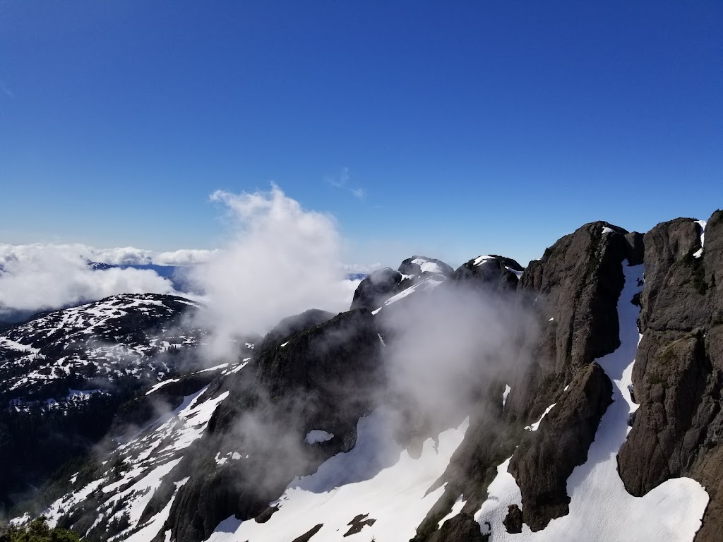 Mount Arrowsmith Massif Regional Park | Pass Main, Errington, BC V0R 1V0, Canada | Phone: (250) 248-3252