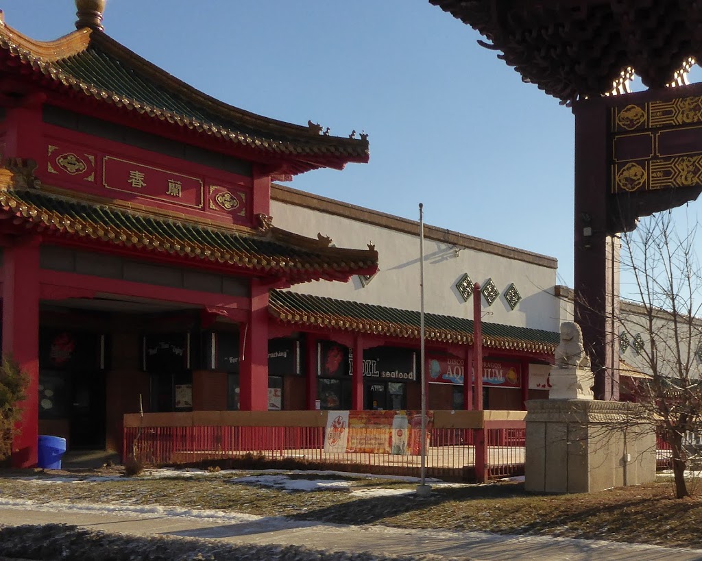 Discount Dragon Aquarium | 888 Dundas St E, Mississauga, ON L4Y 4G6, Canada | Phone: (905) 306-7127