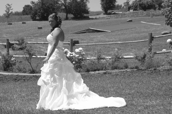 Garden Wine Photography | 1436 Trent River Rd, Havelock, ON K0L 1Z0, Canada | Phone: (705) 927-1245