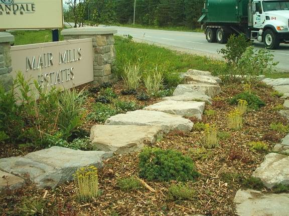 Collis Environmental Consulting | 11 Line 4, Wasaga Beach, ON L9Z 2X4, Canada | Phone: (705) 429-5794