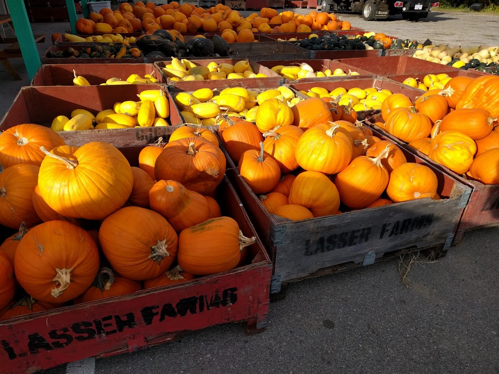 Lasser Produce | 601 Hwy 3A, Keremeos, BC V0X 1N0, Canada | Phone: (250) 499-5781