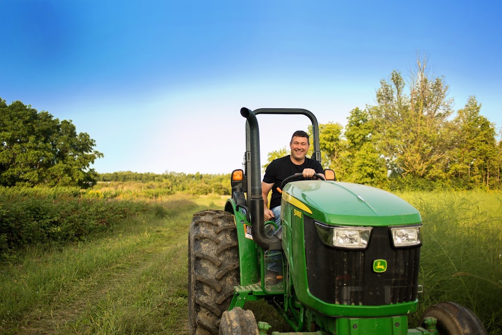 Curries Farm Market | 736 Sixth St, Collingwood, ON L9Y 3Y9, Canada | Phone: (705) 445-2005